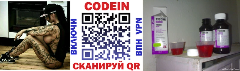 купить наркотики сайты  ОМГ ОМГ ССЫЛКА  Кодеиновый сироп Lean напиток Lean (лин)  Чаплыгин 