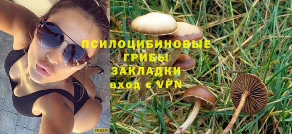 spice Приозерск